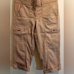 Ann Taylor Women's's Beige Cargo Pants